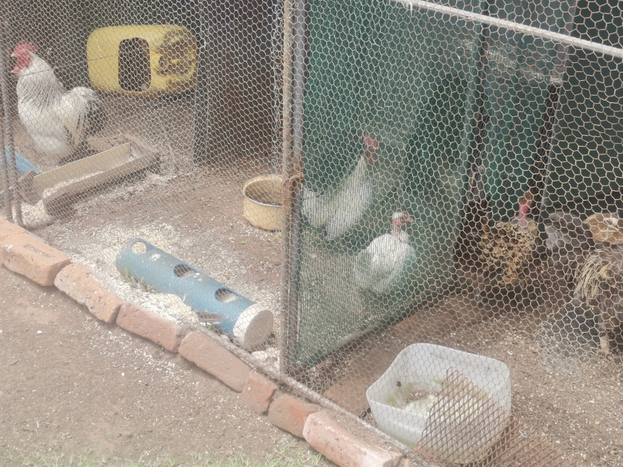 5 Bedroom Property for Sale in Senekal Rural Free State